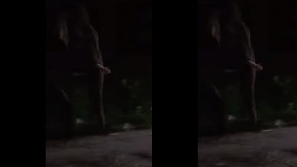 HARIDWAR ELEPHANT NEWS