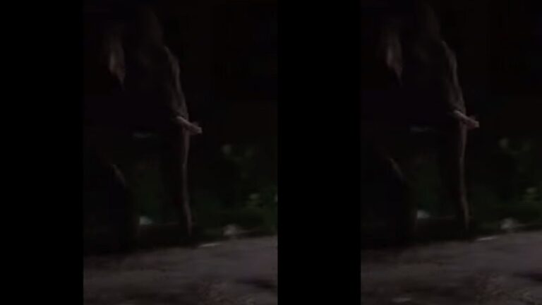 HARIDWAR ELEPHANT NEWS