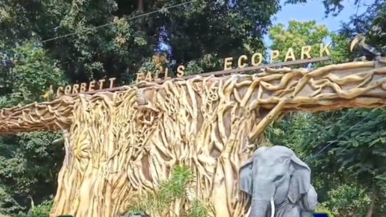 वन मंत्री सुबोध उनियाल ने नयागांव कॉर्बेट वॉटरफॉल का रिबन काटकर उद्घाटन किया।