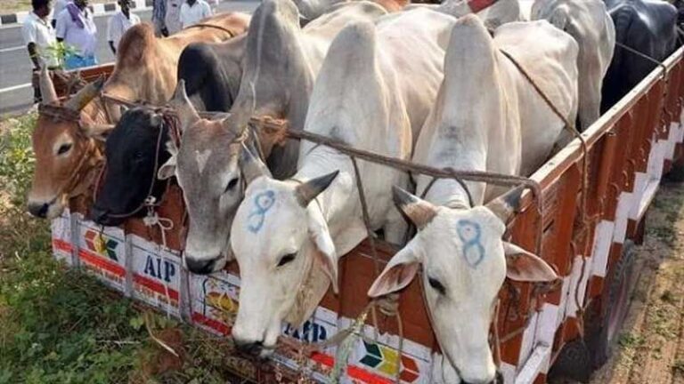 उत्तराखंड गो सेवा आयोग ने गोवंश हत्या पर 10 साल की सजा और पांच लाख जुर्माने का प्रस्ताव दिया