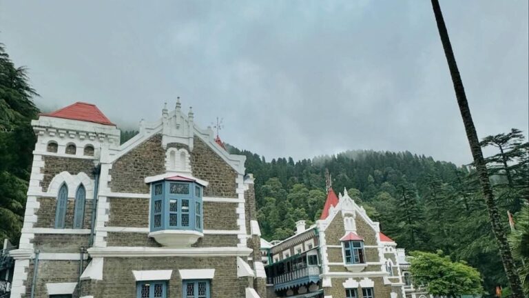 UPNL कर्मचारियों के रेगुलराइजेशन मामले पर उत्तराखंड हाईकोर्ट द्वारा सरकार को निर्देश जारी किए जाने से जुड़ी तस्वीर