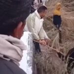 भीमताल में खाई में गिरी टैम्पो ट्रैवलर से छात्रों को ह्यूमन चेन बनाकर रेस्क्यू करते पुलिस और स्थानीय लोग