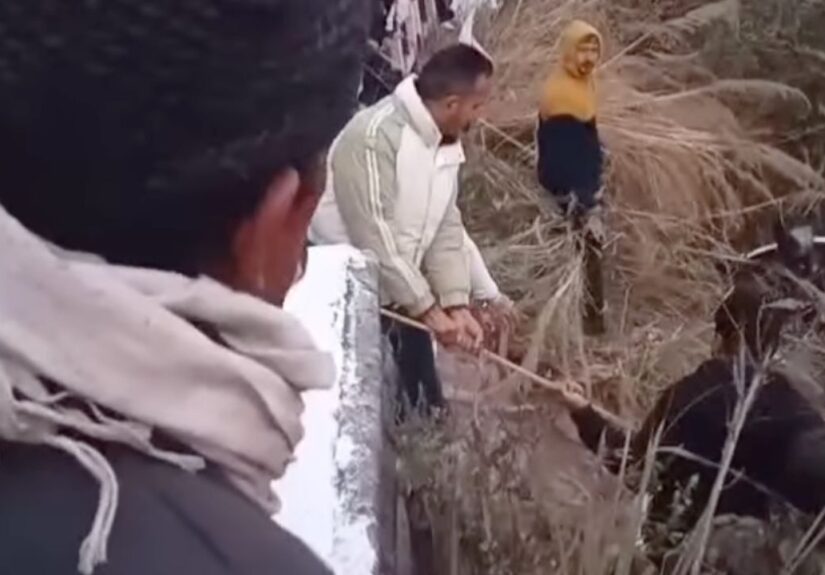 भीमताल में खाई में गिरी टैम्पो ट्रैवलर से छात्रों को ह्यूमन चेन बनाकर रेस्क्यू करते पुलिस और स्थानीय लोग