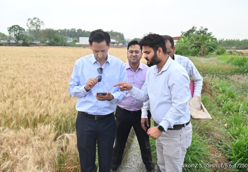 मंडलायुक्त दीपक रावत खेत में डिजिटल क्रॉप सर्वे करते हुए हल्द्वानी हरिपुर रतनसिंह