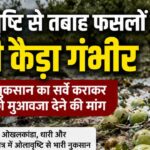 ओलावृष्टि से फसल नुकसान पर किसानों के पक्ष में मंत्री राम सिंह कैड़ा