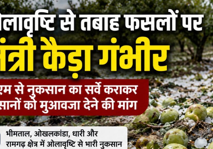 ओलावृष्टि से फसल नुकसान पर किसानों के पक्ष में मंत्री राम सिंह कैड़ा