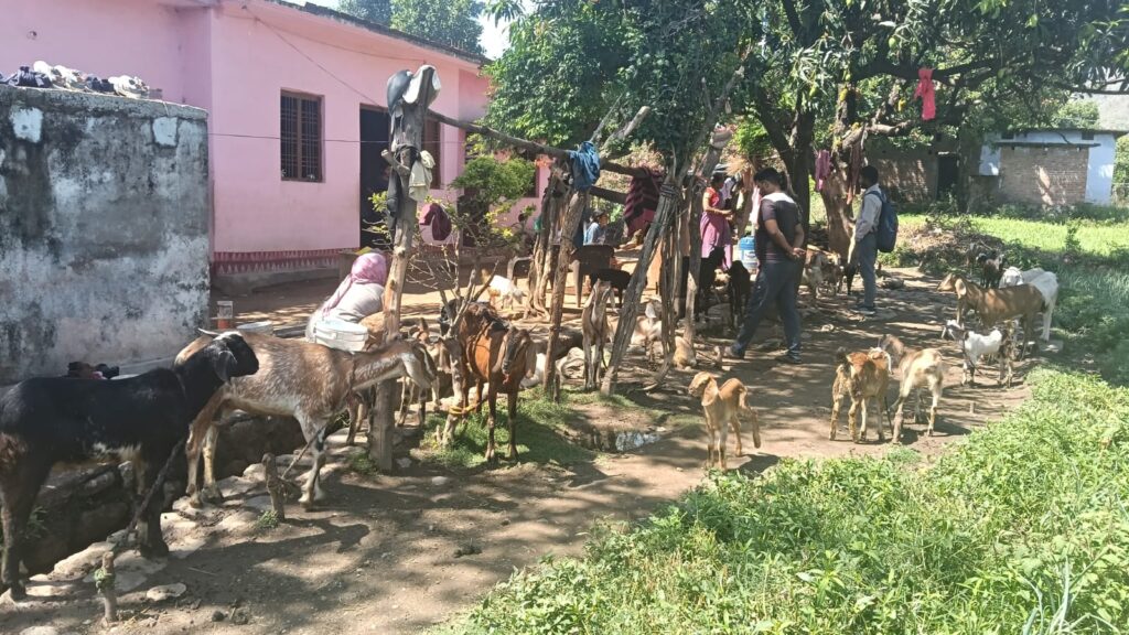 कोटाबाग की भावना देवी बनीं आत्मनिर्भर महिला उद्यमी